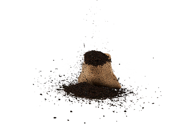 Flavour image
